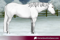 Horse Color:Gray Silver Black Pearl Tobiano 