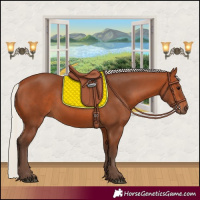 Horse Color:Silver Bay 