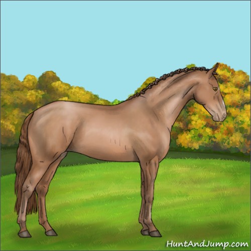 Horse Color:Brown Pearl 