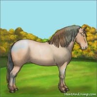 Horse Color:Bay Roan Pearl