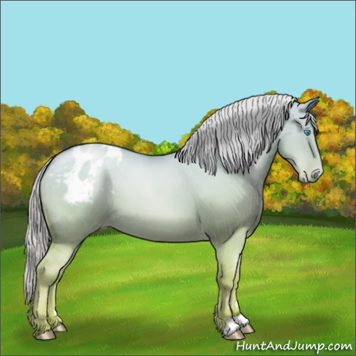 Horse Color:Palomino Pearl Dun Appaloosa 