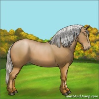 Horse Color:Silver Bay Pearl