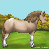 Horse Color:Chestnut Pearl Tobiano