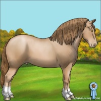 Horse Color:Chestnut Pearl 