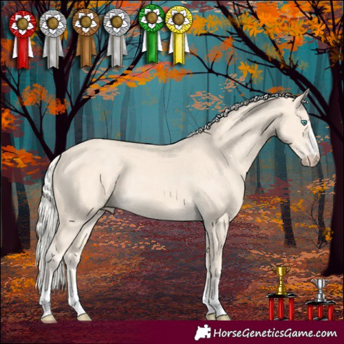 Horse Color:Cremello 