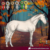 Horse Color:Cremello 
