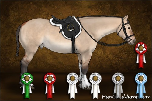 Horse Color:Bay Dun Tobiano 