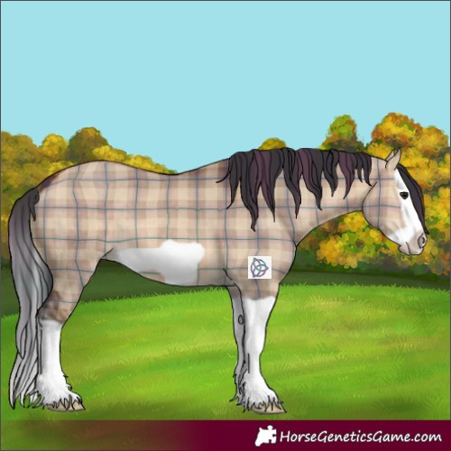 Horse Color:Plaid  Brown Dun Splash Frame 