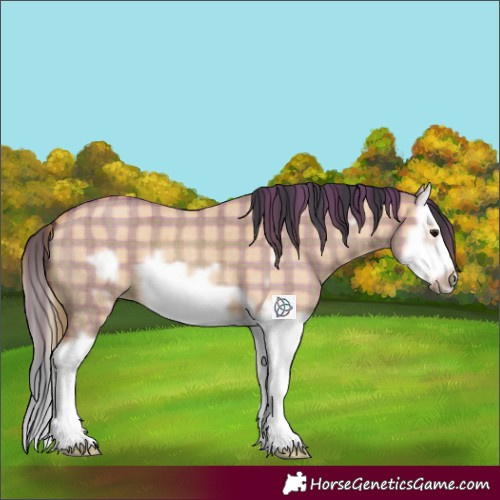 Horse Color:Plaid  Bay Roan Dun Splash Frame 
