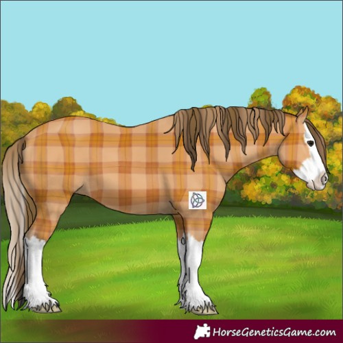 Horse Color:Plaid  Bay Splash 