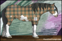 Horse Color:Plaid  Bay Splash Frame 