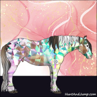 Horse Color:Plaid Bay Splash Tobiano Appaloosa