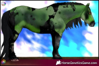 Horse Color:ERROR: UNKNOWN ANOMALY