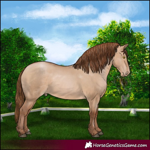 Horse Color:Brown Pearl Dun 
