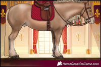 Horse Color:Liver Chestnut Pearl 
