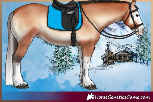 Horse Color:Bay Roan Onyx Splash 