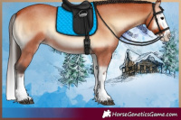 Horse Color:Bay Roan Onyx Splash 