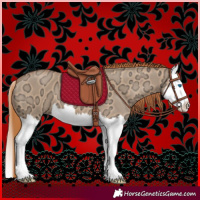 Horse Color:Red Dun Ice Splash 