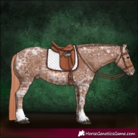 Horse Color:Chestnut Ice 