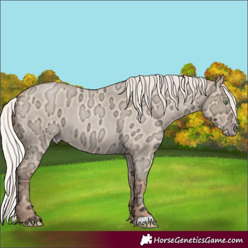 Horse Color:Silver Amber Champagne Ice Roan Dun 