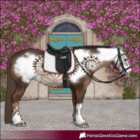 Horse Color:Liver Chestnut Frame 