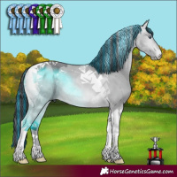 Horse Color:Painted Bay Chinchilla Dun Tobiano 