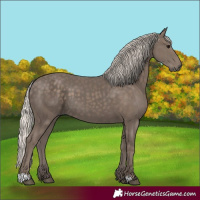 Horse Color:Silver Black 