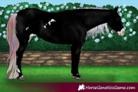 Horse Color:Nacre Bay Ice Near Leopard 