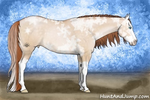 Horse Color:Buckskin Ice Pearl Dun Splash 