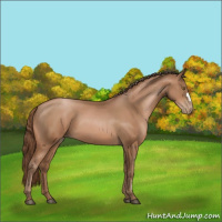 Horse Color:Brown Pearl