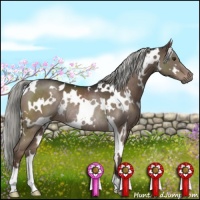 Horse Color:White Spotted Liver Chestnut Mushroom Rabicano 