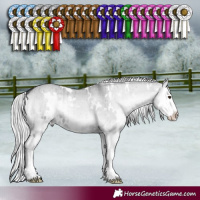 Horse Color:White Spotted Silver Grullo Chinchilla Onyx Splash Brindle 