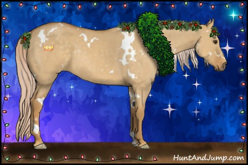 Horse Color:White Spotted Palomino Dun Rabicano 