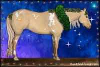 Horse Color:White Spotted Palomino Dun Rabicano 