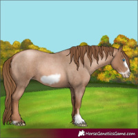 Horse Color:Liver Red Roan Pearl Frame 