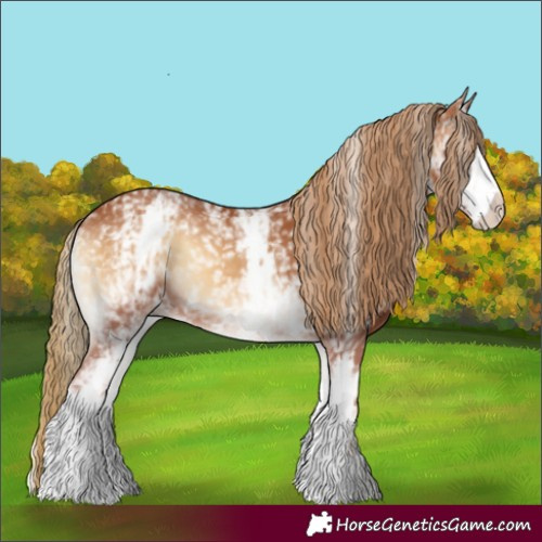 Horse Color:White Spotted Red Onyx 