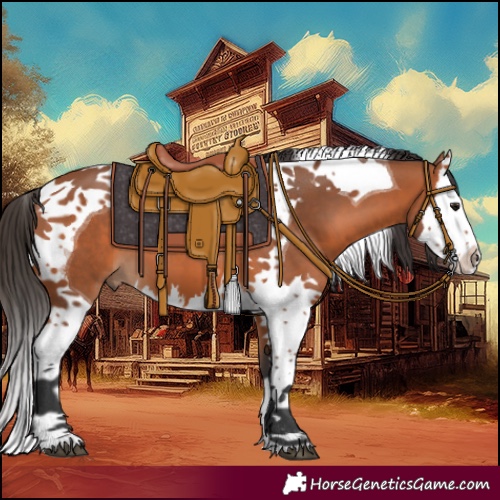 Horse Color:Bay Splash Tobiano 