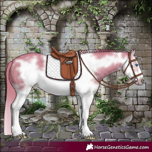 Horse Color:Watercolor Chestnut Splash Frame 