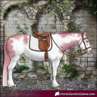 Horse Color:Watercolor Chestnut Splash Frame