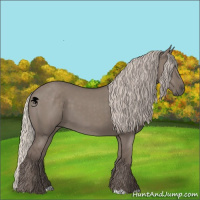 Horse Color:Silver Grullo 