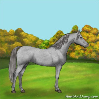 Horse Color:Black Varnish Rabicano 