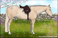 Horse Color:Palomino Pearl Sabino 