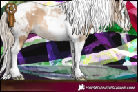 Horse Color:Chocolate Palomino Pearl Sabino Splash Tobiano 