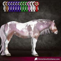 Horse Color:Silver Blue Onyx Tobiano 
