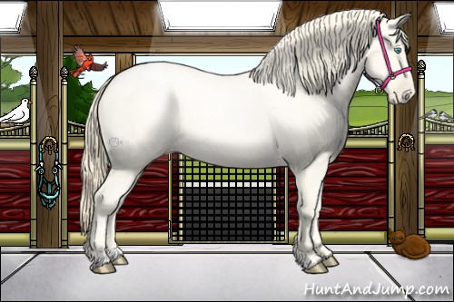 Horse Color:Classic Cream Champagne Pearl Sabino