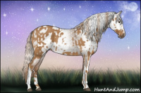 Horse Color:Chestnut and Gray Chestnut