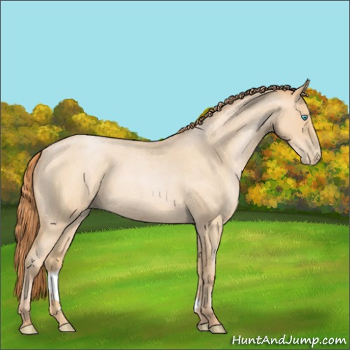 Horse Color:Buckskin Roan Pearl Sabino