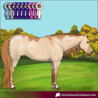 Horse Color:Red Dun 