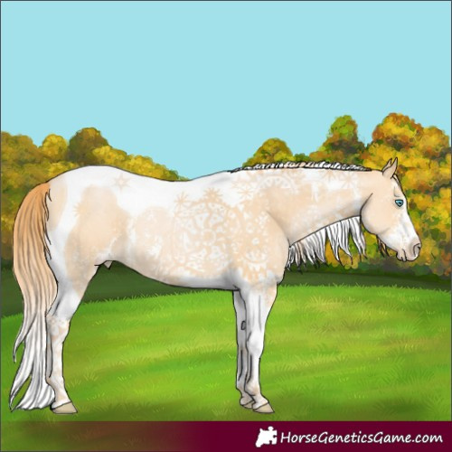 Horse Color:Buckskin Pearl Sabino Tobiano