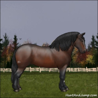 Horse Color:Brown 